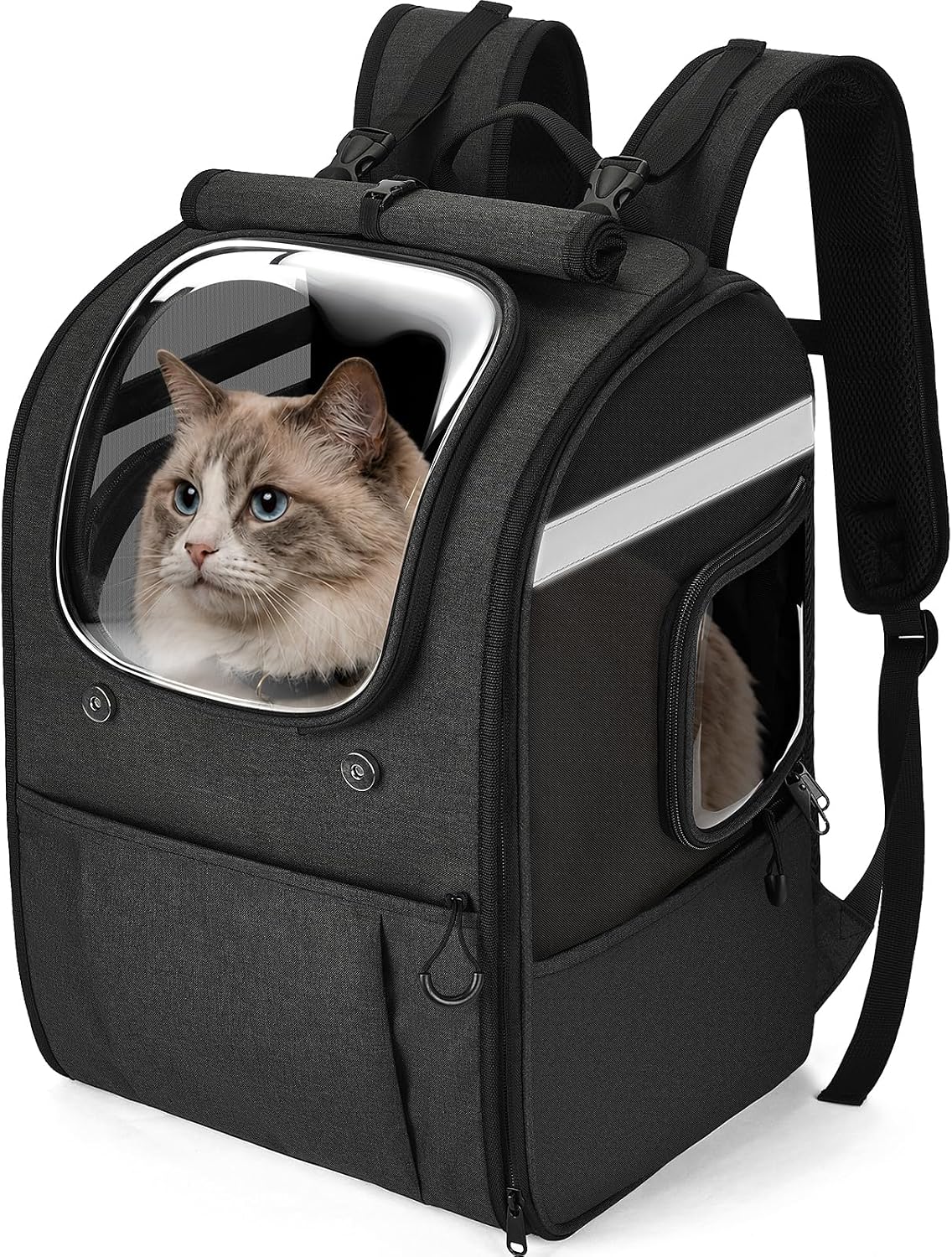 Apollo Walker Spacious Bubble Backpack