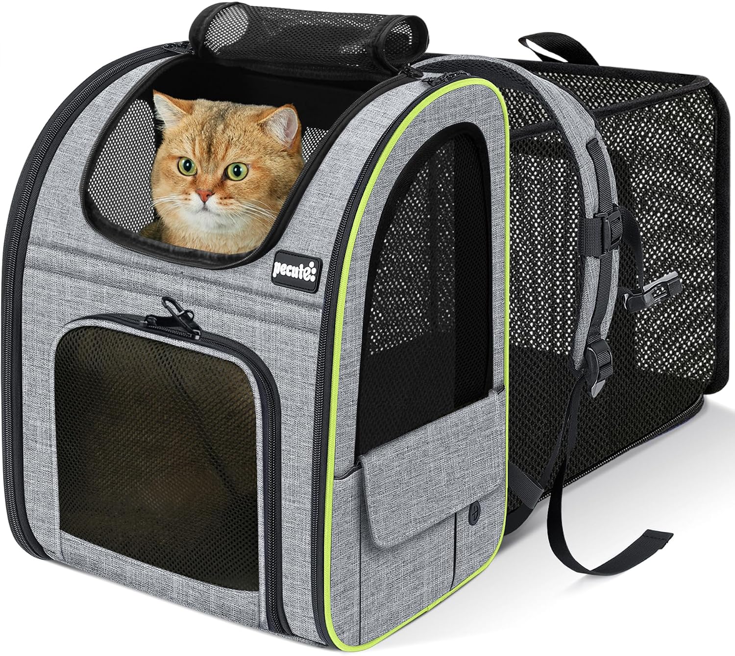 Pecute Expandable Cat Backpack