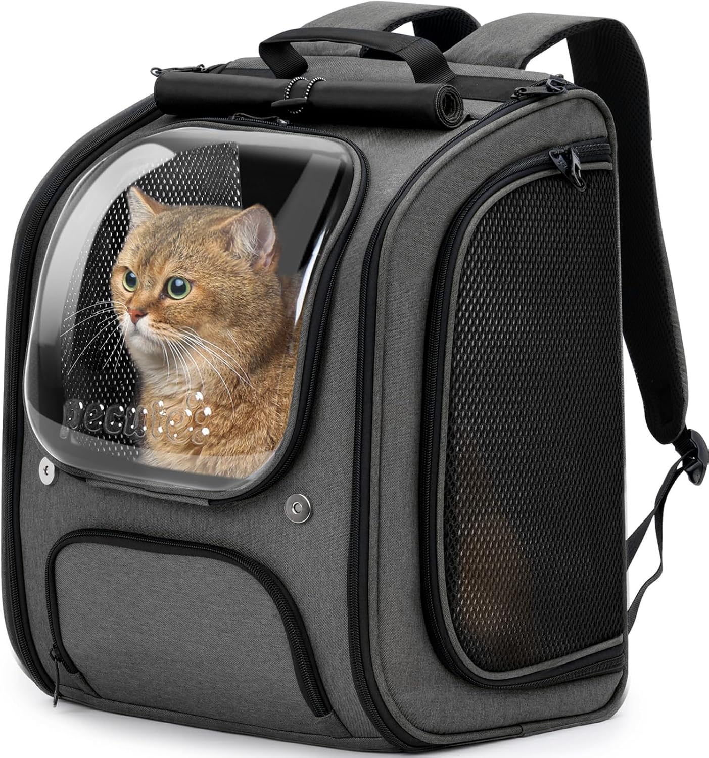 Pecute Large-Space Bubble Backpack
