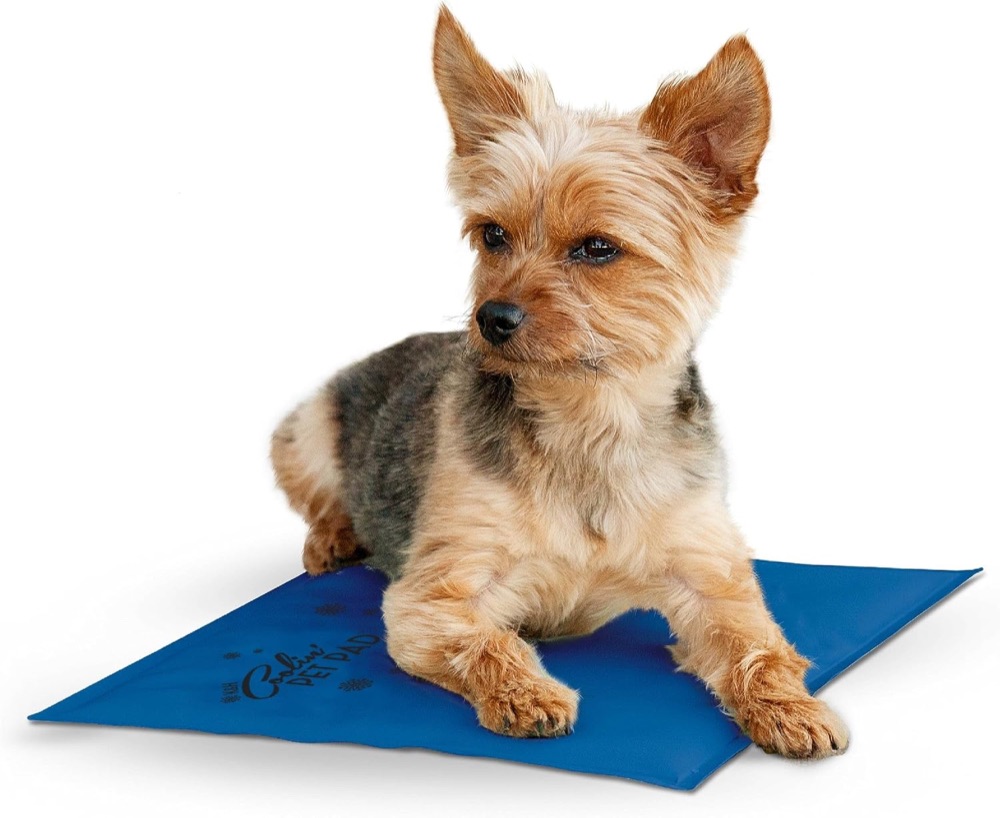 K and H Coolin Pet Pad small water activated cooling pad