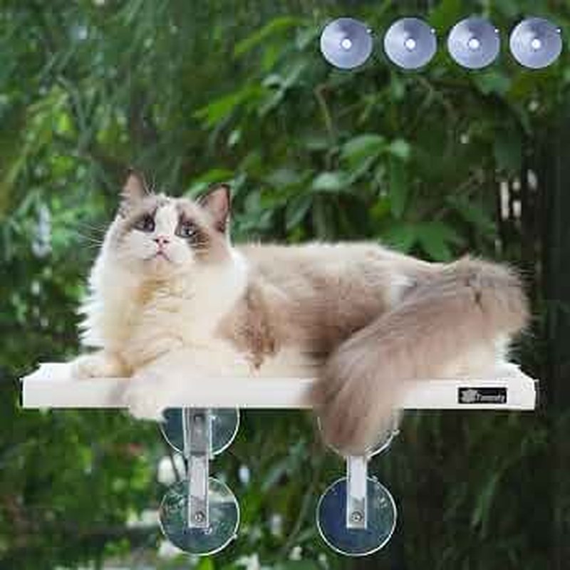Fampety Large Cat Window Perch