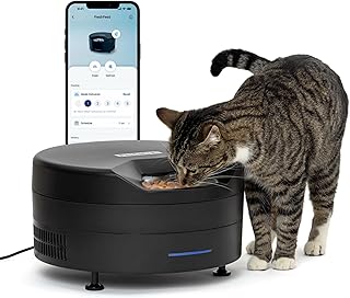 PetSafe FreshFeed Refrigerated Automatic Wet Food Feeder, 6 Meals