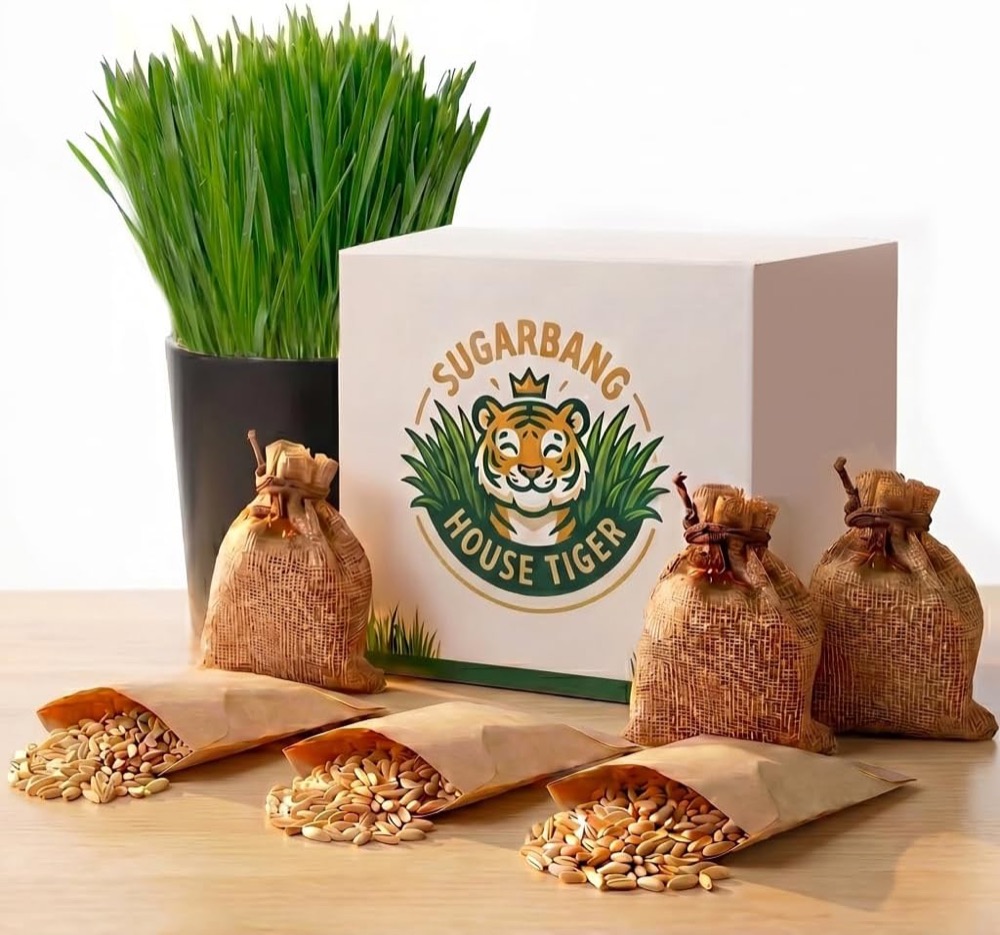 House Tiger cat grass refill pack with coco coir soil discs