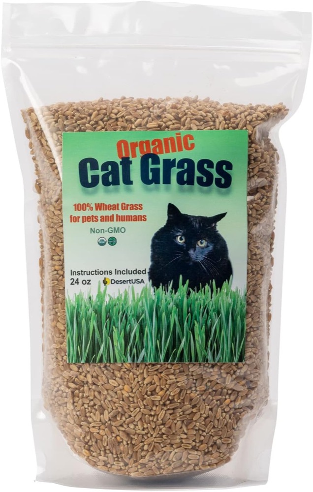 bag of organic non-GMO wheatgrass seeds for cat grass