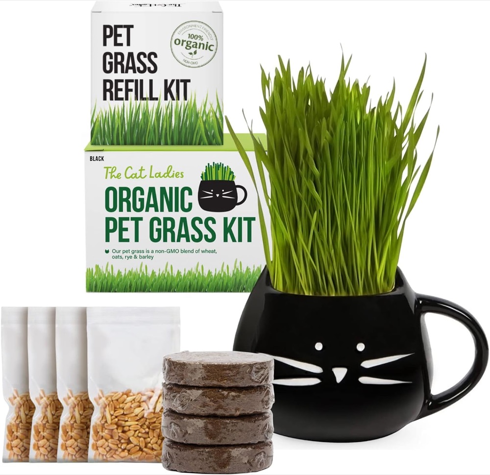 TCL black cat mug cat grass growing kit with seeds and coir disc
