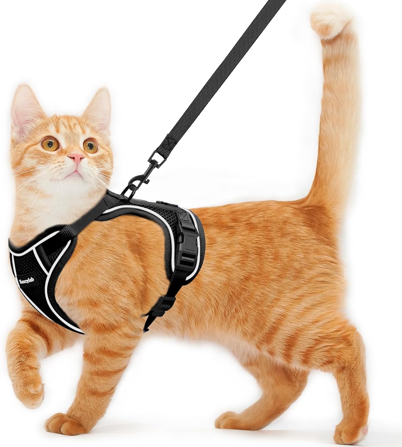 Cat Harness and Leash for Walking Escape Proof Soft Adjustable Cat Leash