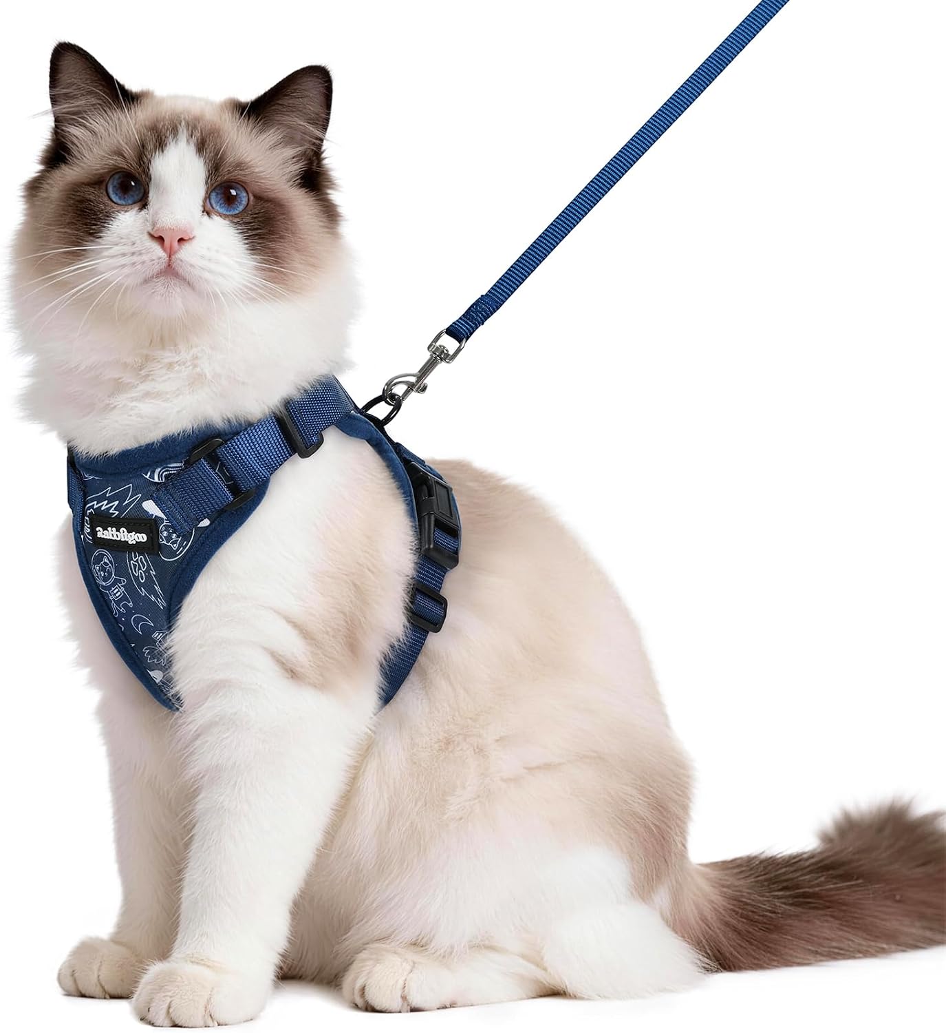 rabbitgoo Cat Harness and Leash Set, Escape Proof Vest, Cosmic Ace