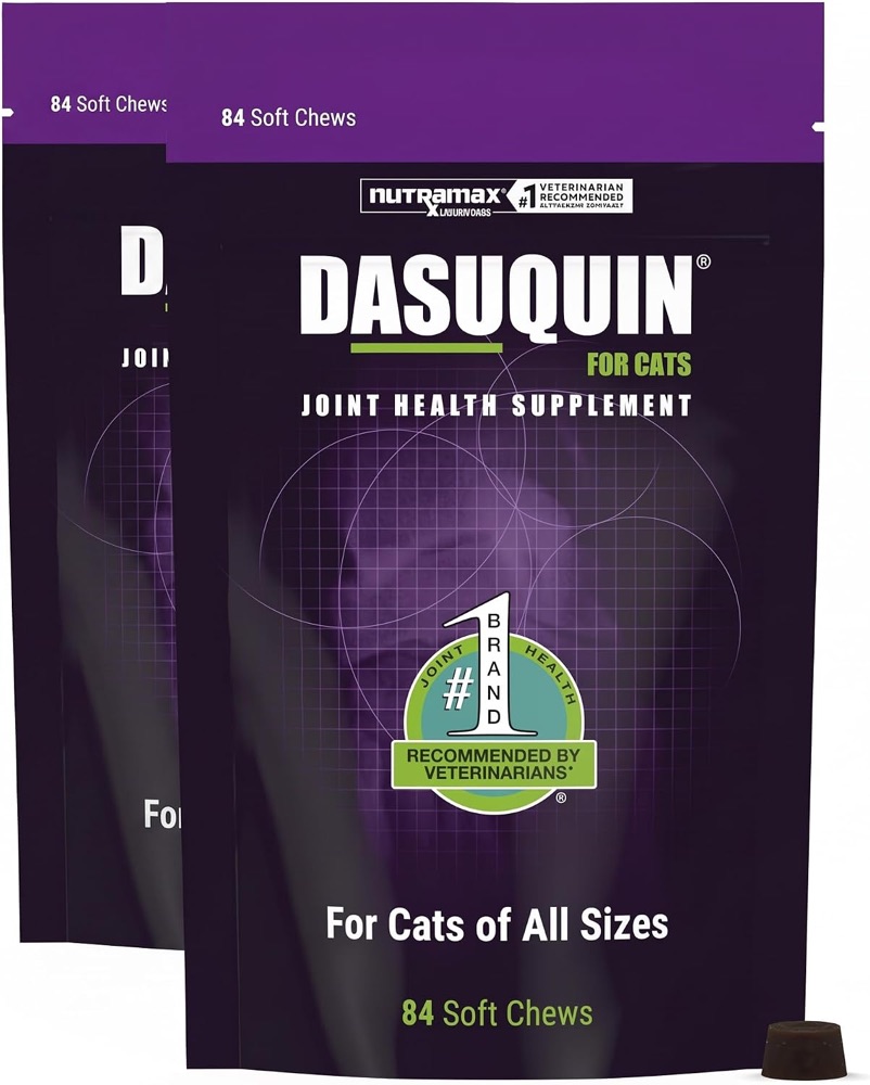Nutramax Dasuquin joint health supplement soft chews for cats
