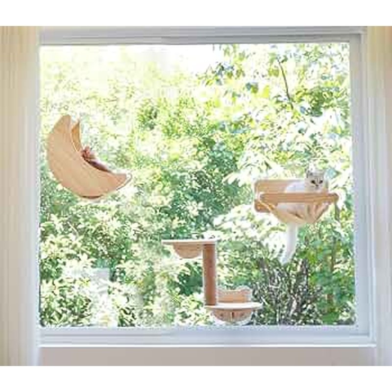 Suction Cat Window Perch