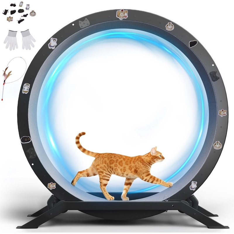 GTPLAYER 40 inch Cat Exercise Wheel