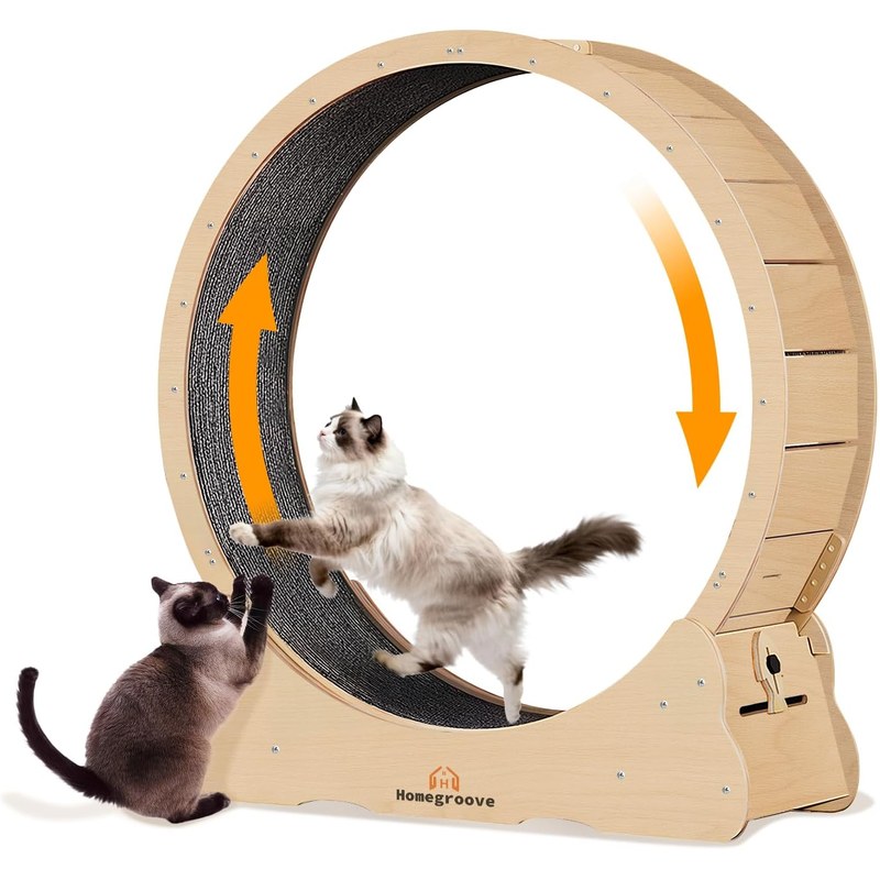 Homegroove XXL Cat Exercise Wheel 52 inch